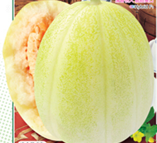 ��������-��ϷN��-�s�S�N�I(y��)