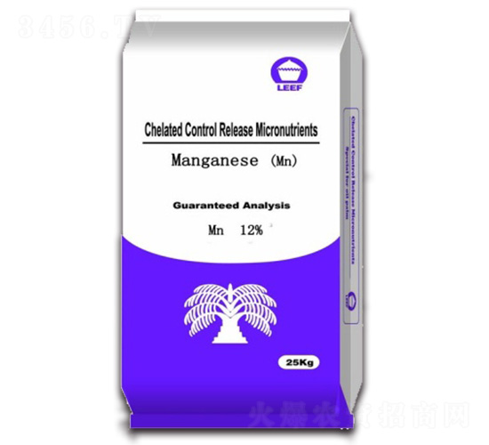 �����i��-�Ŷ�-�����Ƽ�