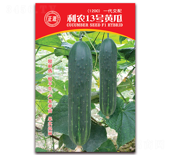 ���r(n��ng)13̖�S�ϣ�1200��-�S�ϷN��-�����r(n��ng)