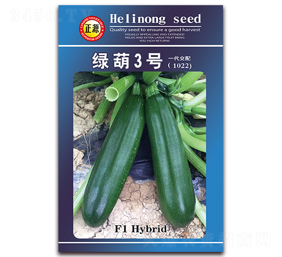 �G��3̖��1022��-�����J�N��-�����r