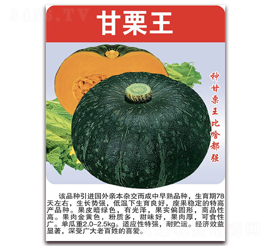 ������-�ϹϷN��-���÷N��