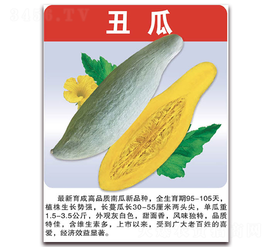 ���-�ϹϷN��-���÷N��