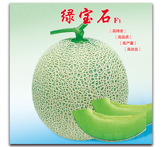 �G��ʯ-��ϷN��-���÷N��