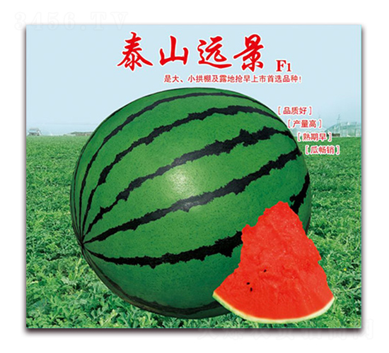 ̩ɽ�h(yu��n)��-���ϷN��-���÷N��