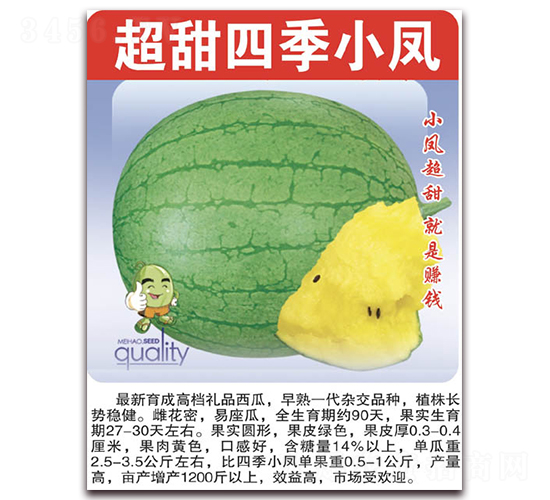 �����ļ�С�P-���ϷN��-���÷N��