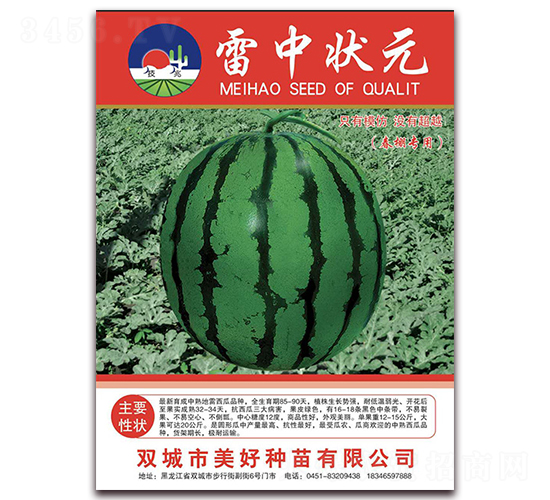 ���Р�Ԫ-���ϷN��-���÷N��