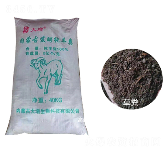 �LЧ�������S���w��-��������