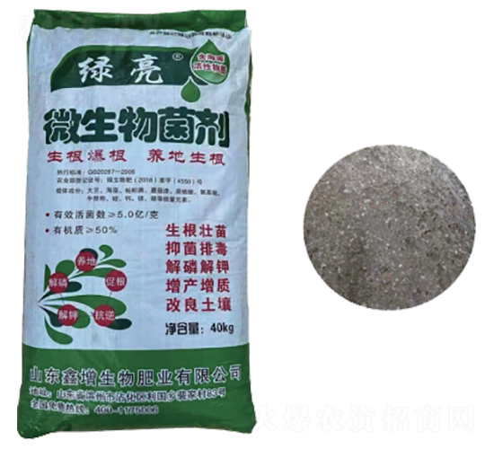 40kg΢�������-�G��-��������