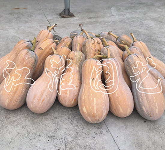 �����۱�-�ϹϷN��-�����@ˇ