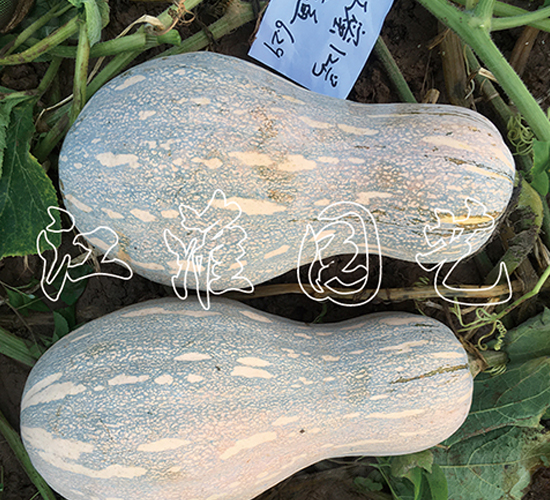 ����12̖-�ϹϷN��-�����@ˇ