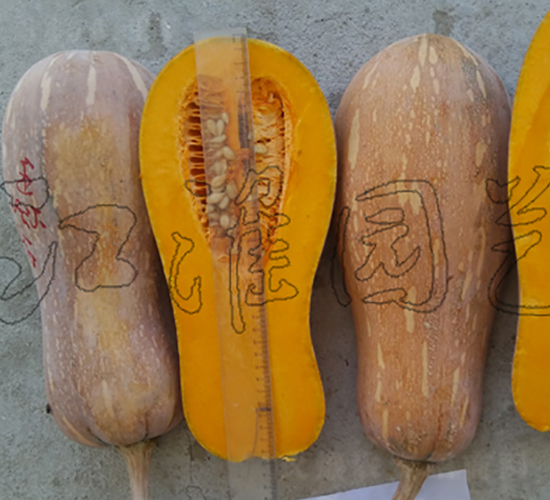 ��(y��u)��1̖-�ϹϷN��-�����@ˇ