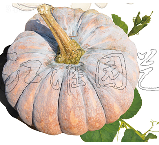 �P(p��n)��202-�ϹϷN��-�����@ˇ