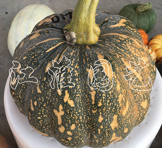 �P��210-�ϹϷN��-�����@ˇ