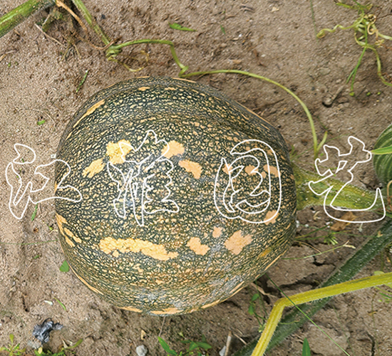 �P(p��n)��214-�ϹϷN��-�����@ˇ