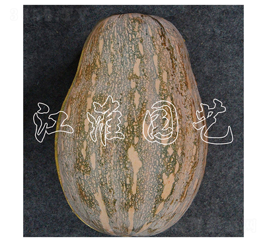 �ɹ�101-�ϹϷN��-�����@ˇ