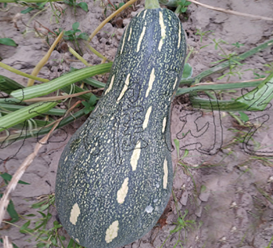 �ɹ�104-�ϹϷN��-�����@ˇ