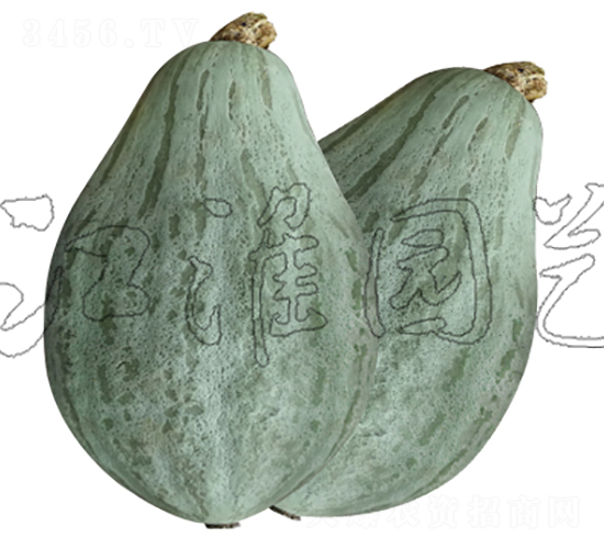 ���F2̖(h��o)-�ϹϷN��-�����@ˇ