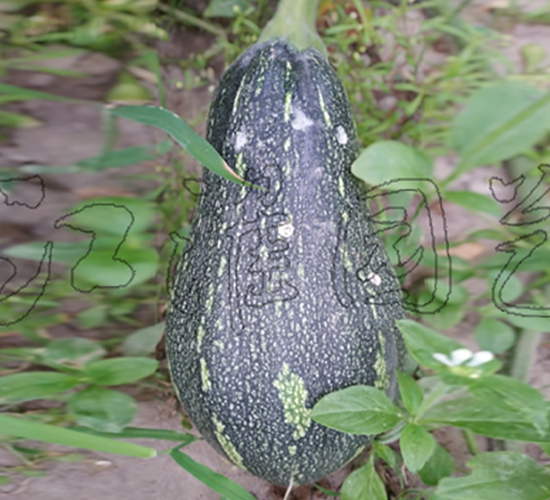 ����2̖-�ϹϷN��-�����@ˇ