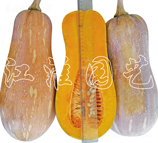 ��(y��u)��2̖(h��o)-�ϹϷN��-�����@ˇ