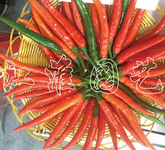 �t��3̖-�����N��-�����@ˇ