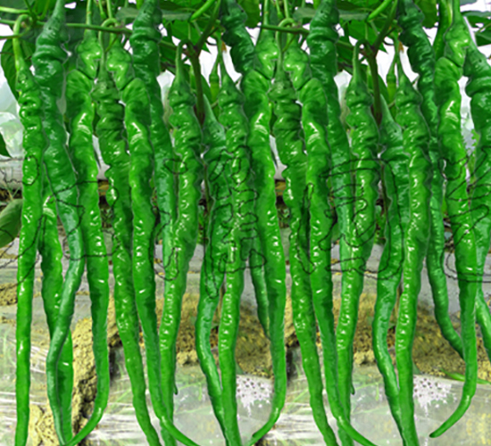 �콷3̖-�����N��-�����@ˇ