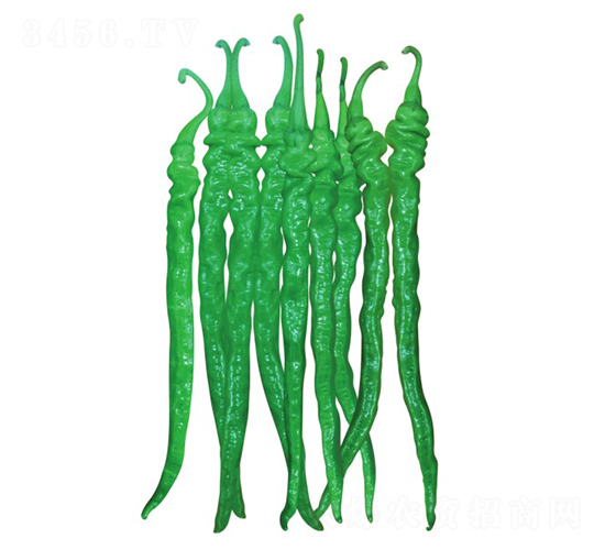 �콷7̖-�����N��-�����@ˇ