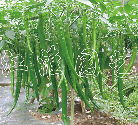 ��(qi��ng)�S7301-�����N��-�����@ˇ