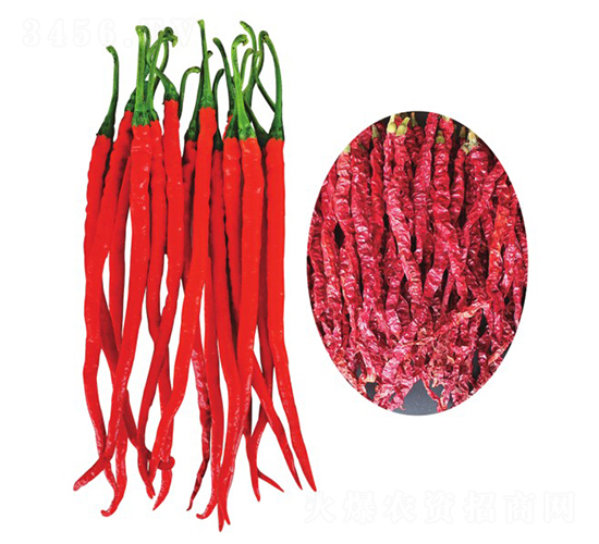 �����t��2̖-�����N��-�����@ˇ