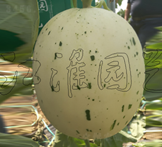 �۲�2̖-��ϷN��-�����@ˇ