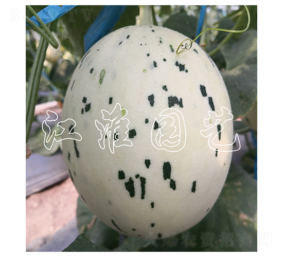 �۲�3̖-��ϷN��-�����@ˇ