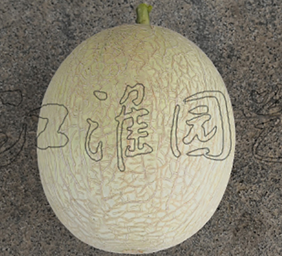 ������8̖-��ϷN��-�����@ˇ