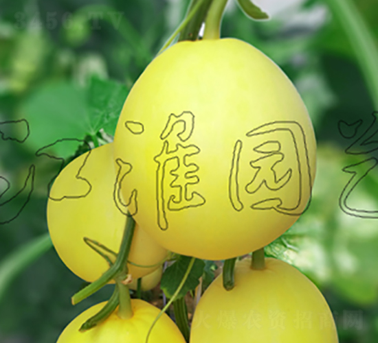 �S��(y��u)��-��ϷN��-�����@ˇ