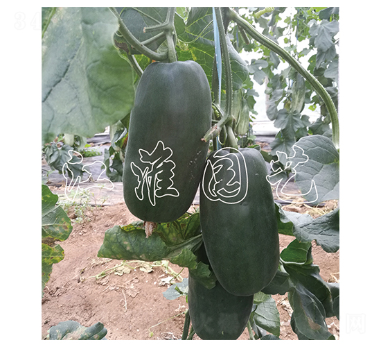 ����7̖-��ϷN��-�����@ˇ