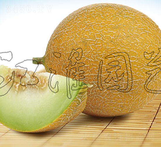 �W��9̖(h��o)-��ϷN��-�����@ˇ