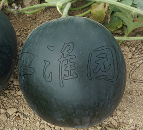 ī��10̖-���ϷN��-�����@ˇ