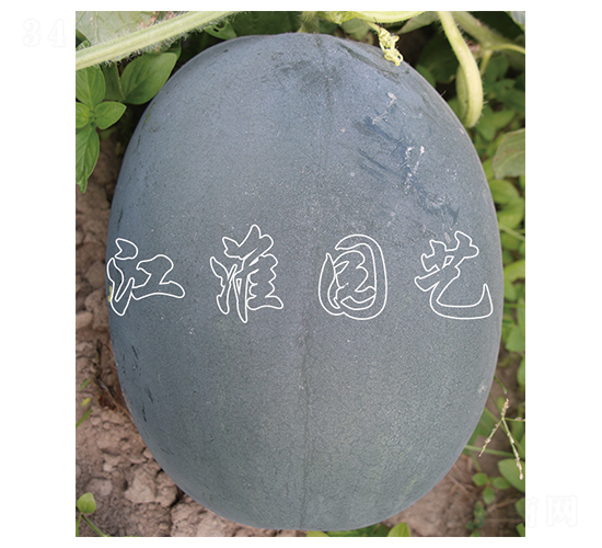 ī��18̖-���ϷN��-�����@ˇ