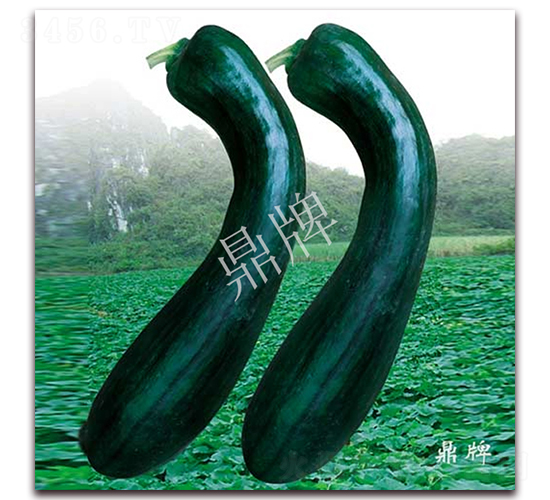 �����Ϲ�-�ϹϷN��-���ƷN��