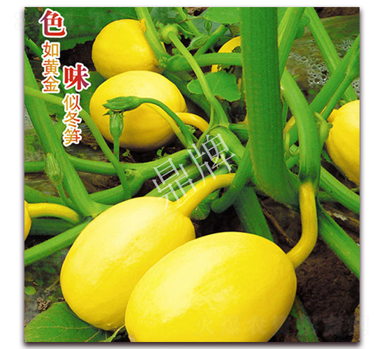 �S��S��-�ϹϷN��-���ƷN��