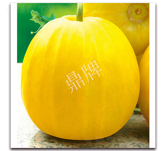 ����1̖-��ϷN��-���ƷN��