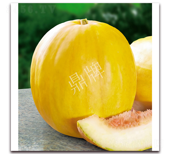 �������-��ϷN��-���ƷN��