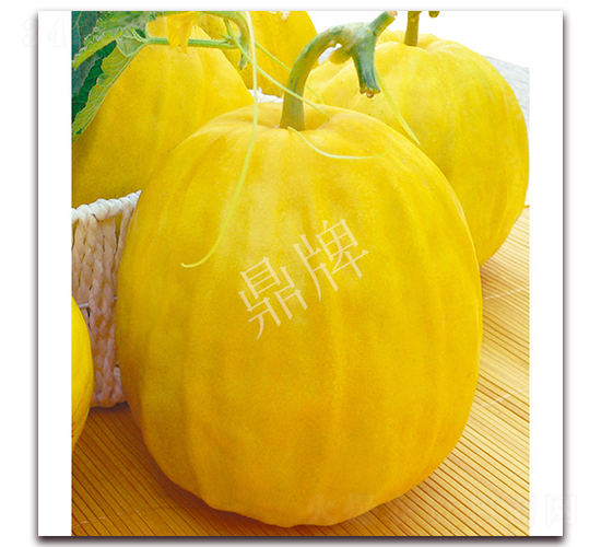 ����2̖(h��o)-��ϷN��-���ƷN��