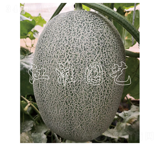 ������23̖-��ϷN��-�����@ˇ