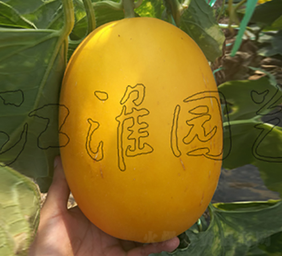 ��ͯ2̖(h��o)-��ϷN��-�����@ˇ