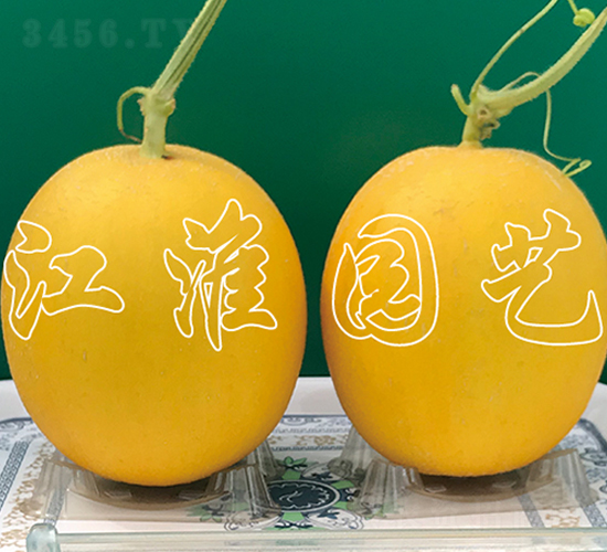 ��ͯ7̖(h��o)-��ϷN��-�����@ˇ