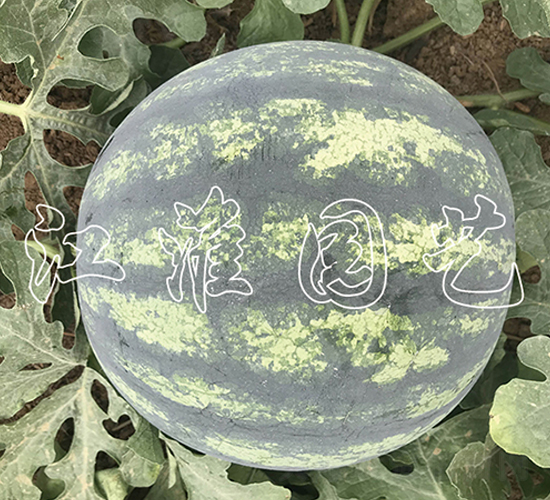 ׿Խ7̖-���ϷN��-�����@ˇ