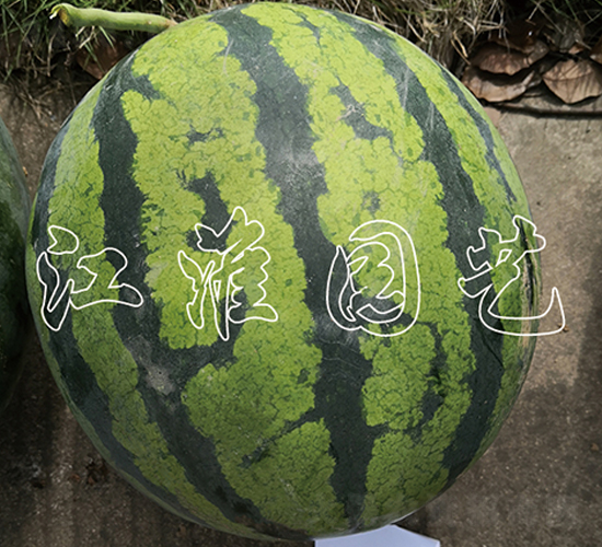 ����3̖-���ϷN��-�����@ˇ