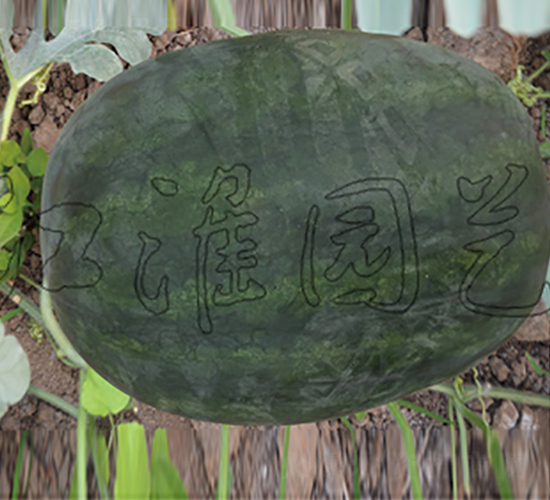 ���5̖(h��o)-���ϷN��-�����@ˇ