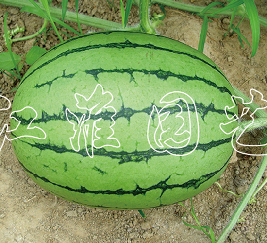 ��ʹ1̖-���ϷN��-�����@ˇ