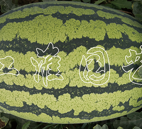 ��ˇ����2̖-���ϷN��-�����@ˇ