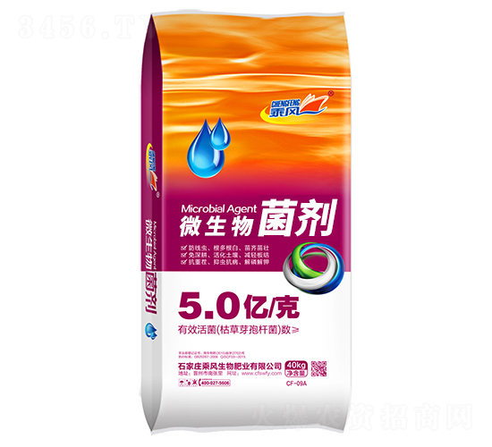 5�|���΢�������-���L����